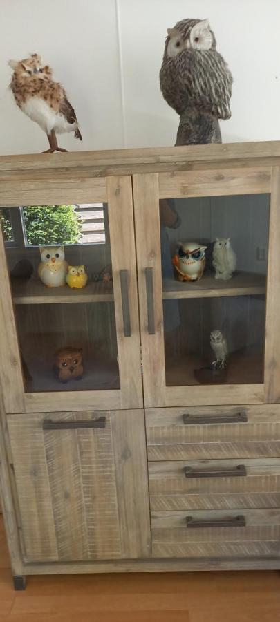'T Uiltje Villa Ermelo Dış mekan fotoğraf