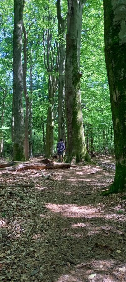 'T Uiltje Villa Ermelo Dış mekan fotoğraf