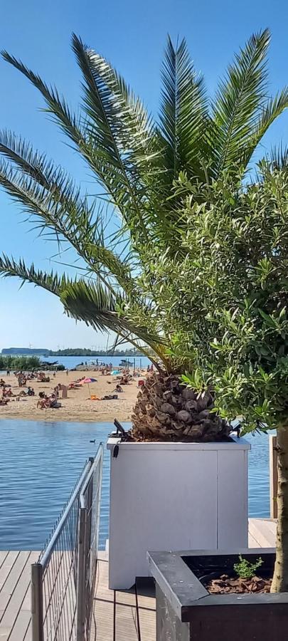 'T Uiltje Villa Ermelo Dış mekan fotoğraf